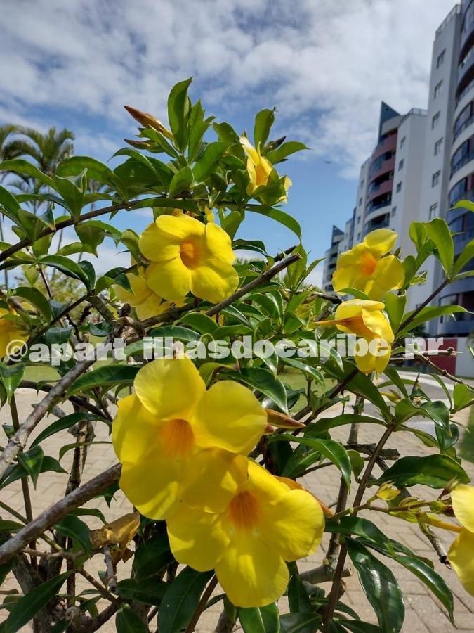 Apto Cond Ilhas Do Caribe - Pr - Beira Mar Matinhos Exterior foto